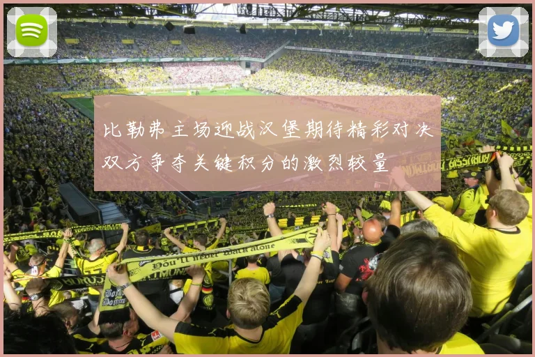 比勒弗主场迎战汉堡期待精彩对决双方争夺关键积分的激烈较量