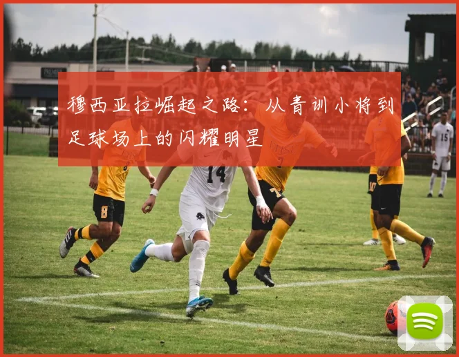 穆西亚拉崛起之路：从青训小将到足球场上的闪耀明星